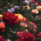 Rose garden