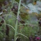 L1004639