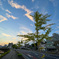 朝ラン風景2023年8月