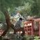 平等院鳳凰堂