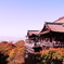 京都一望