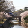 さくら夙川