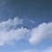 空に浮いたはぐれ木