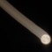 When You Wish upon a Moon
