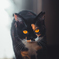 猫1