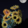 地上の太陽と天上の月