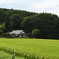 田舎の風景