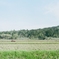 country roads #2