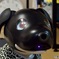 aiboドアップ