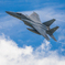 Eagle in the summer sky