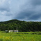 廃の風景