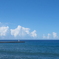 夏