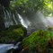 moss green