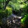 公園の石段