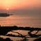 夕陽