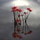 いちしの花