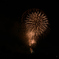 230917枚方花火46