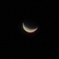 金星  (-4.8等)