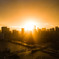 The Sunset 0921