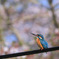 春のそよ風
