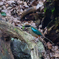 ZDS_1356ライトルームAI補正