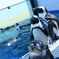 ケープペンギン