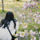 京都植物園