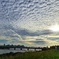 うろこ雲