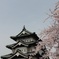 殿様の家