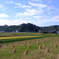DSCF3702