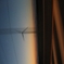 夕映えロード