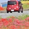 赤い里山
