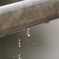 梅雨のしずく