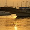 夕日と海
