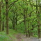 英国ウェールズ　Brecon Beacons