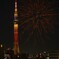 お江戸に咲いた夜の花