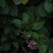 DSC_9577 (3)