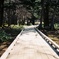 Board walk
