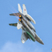 小松基地航空祭2023 F-15J 303SQ 82-8897