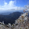 高妻山の霧氷