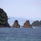 与望島