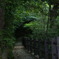 散歩道２