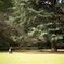 autumn for tokyoites 2023