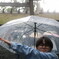雨の伊勢神宮にて