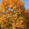 DSCN0744
