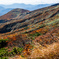 色付く山