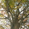 DSCN0426