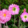 _GFX0943