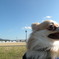 DSCN0705