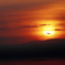 Orange Ball